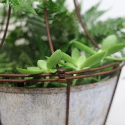 Nkuku Planters & Vases Abari Caged Hanging Planter