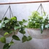Nkuku Abari Round Hanging Planter
