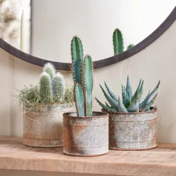 The Ambiora Sales 31 Nkuku Home Accessories Abari Straight Pot