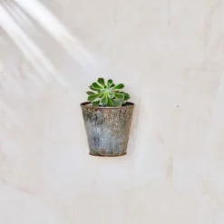 Nkuku Abari Wall Hung Planter Single Planters & Vases