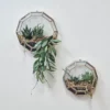 Nkuku Api Wall Hung Planter - Round Home Accessories 2 Nkuku Api Wall Hung Planter - Round Home Accessories