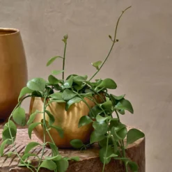 Nkuku Atsu Brass Planter