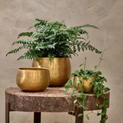 Nkuku Atsu Brass Planter
