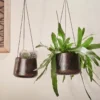 Nkuku Endo Reclaimed Iron Hanging Planter 2 Nkuku Endo Reclaimed Iron Hanging Planter