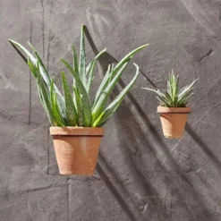 Nkuku Jara Single Wall Hung Planter Planters & Vases