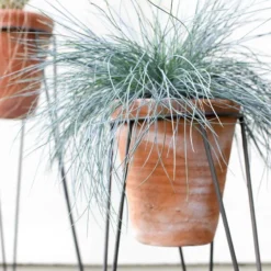 Nkuku Jara Terracotta Planter With Stand Home Accessories