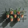 Nkuku Jara Terracotta Wall Hung Planter