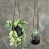 Nkuku Kavari Ceramic Hanging Planter Planters & Vases