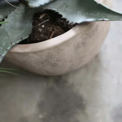 Nkuku Large Affiti Clay Planter