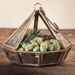 Nkuku Home Accessories Mina Hanging Terrarium