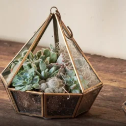 Nkuku Home Accessories Mina Hanging Terrarium