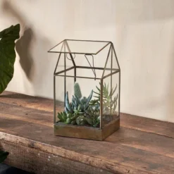 Nkuku Sampara Terrarium - Tall Planters & Vases