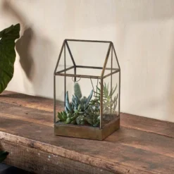 Nkuku Sampara Terrarium - Tall Planters & Vases