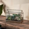 Nkuku Sampara Terrarium - Wide