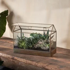 Nkuku Sampara Terrarium - Wide