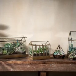 Nkuku Home Accessories Telaga Terrarium - Large