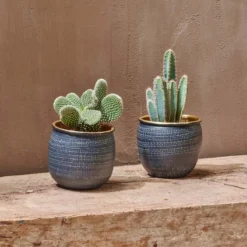 Nkuku Home Accessories Tembesi Etched Planter - Antique Black & Brass (Set Of 2)