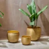 Nkuku Home Accessories Tembesi Etched Planter - Antique Brass