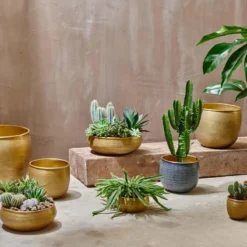 Nkuku Tembesi Etched Planter - Antique Brass (Set Of 2)