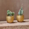 Nkuku Tembesi Etched Planter - Antique Brass (Set Of 2)