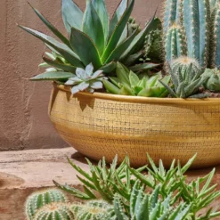 Nkuku Home Accessories Tembesi Etched Round Planter Bowl