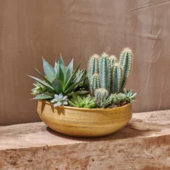 Nkuku Home Accessories Tembesi Etched Round Planter Bowl