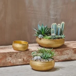 The Ambiora Sales 25 Nkuku Home Accessories Tembesi Etched Round Planter Bowl
