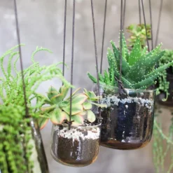 Nkuku Viri Hanging Planter - Clear Home Accessories