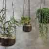 Nkuku Viri Hanging Planter - Clear Home Accessories 2 Nkuku Viri Hanging Planter - Clear Home Accessories