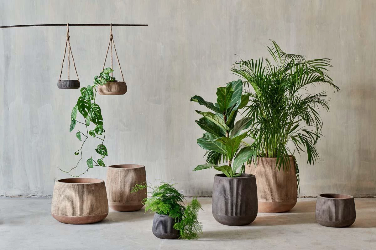 Nkuku Wampu Hanging Planter - Distressed Brown / Black Home Accessories 7 Nkuku Wampu Hanging Planter - Distressed Brown / Black Home Accessories